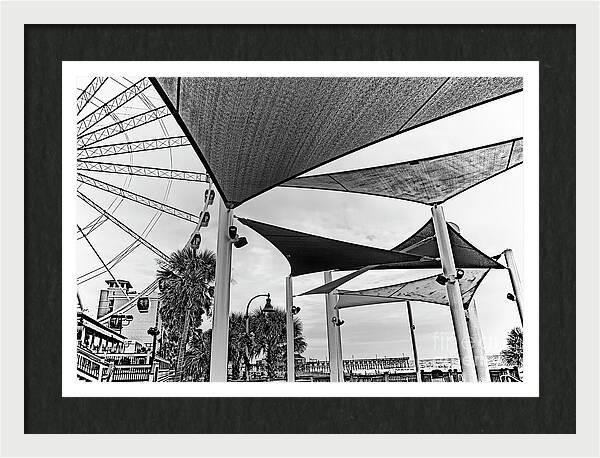 Plyler Park Myrtle Beach photo in black and white by Bob Pardue.